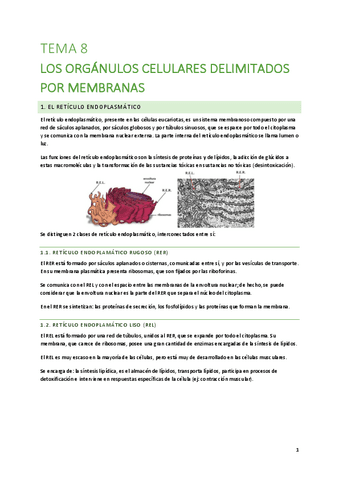 T8-Los-organulos-celulares-delimitados-por-membranas.pdf
