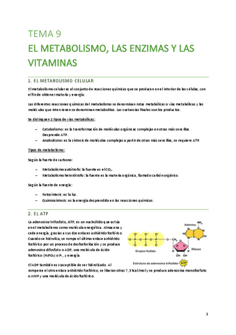 T9-El-metabolismoJ-las-enzimas-y-las-vitaminas.pdf