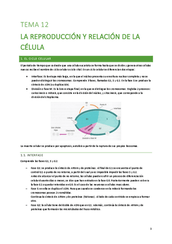 T12-La-reproduccion-y-relacion-de-la-celula-DESKTOP-32V84GK.pdf