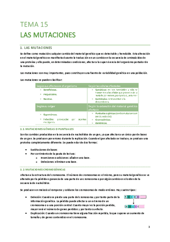T15-Las-mutaciones.pdf