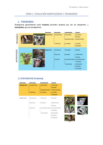 TEMA-2-EVOLUCION-MORFOLOGICA-Y-TAXONOMIA.pdf