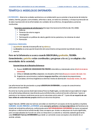 3MODELOS-DE-ENFERMERIA-tardes.pdf