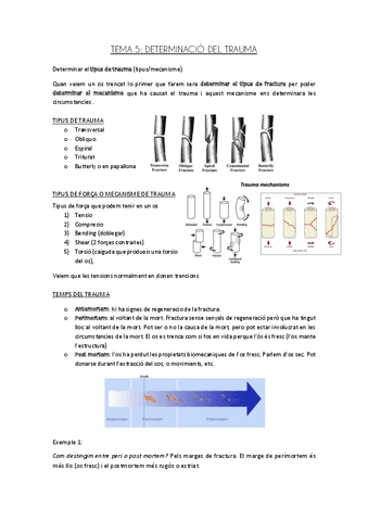 TEMA-5-DETERMINACIO-DEL-TRAUMA.pdf