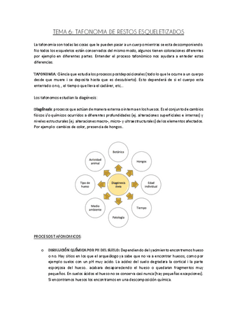 TEMA-6-TAFONOMIA-DE-RESTOS-ESQUELETIZADOS.pdf