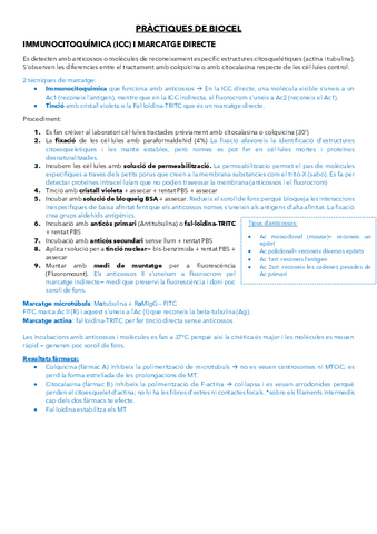 Practiques-1.pdf