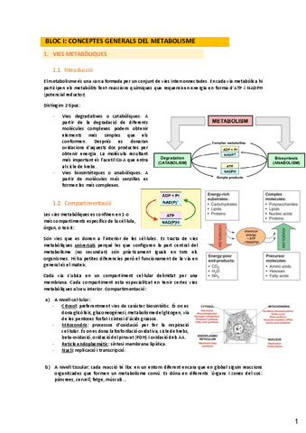 apunts-tot-curs-bioquimica-metabolica-2022.pdf