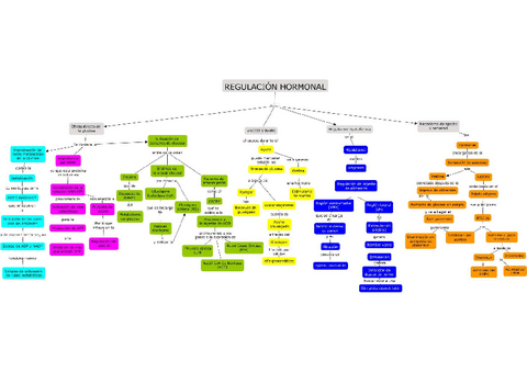 Mapa-conceptual-Regulacion-hormonal.pdf