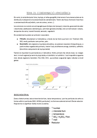 TEMA-23.-CONTAMINACIO-ATMOSFERICA.pdf