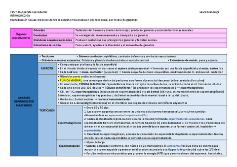 Tema-15-y-16.-Aparato-reproductor.pdf