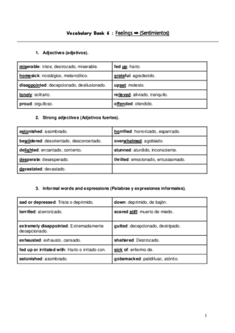 Vocabulary-Bank-6--Feelings-Sentimientos.pdf