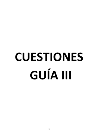 Cuestiones-de-estudio-GUIA-III.pdf