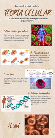 Infografia-Postulados-Basicos-Teoria-Celular.pdf