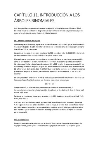 CAPITULO-11-GESTION-DE-RIESGOS.pdf