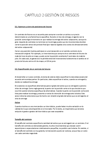 CAPITULO-2-GESTION-DE-RIESGOS.pdf