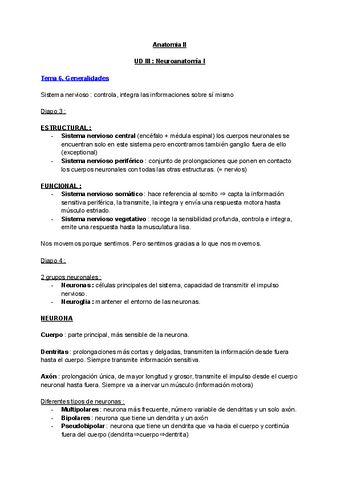 UD-III--Neuroanatomia.pdf