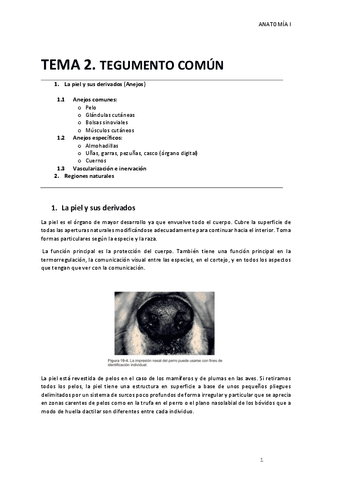 TEMA-2.pdf
