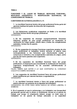 T6 AUTOEVALUACION PDF.pdf