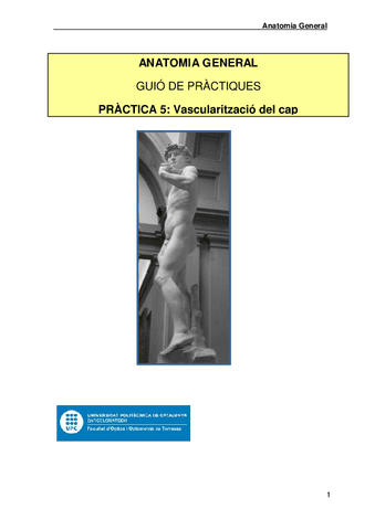 Practica-4-AG-vascularitzacio230122175530.pdf