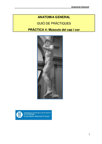 Practica-3-AG-musculs-i-cor230123075754.pdf