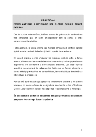 PRACTICA-4-230516154822.pdf