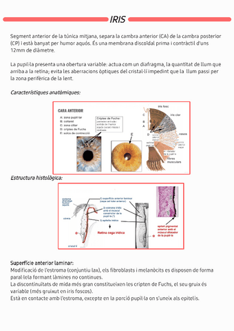 Iris230520163854.pdf