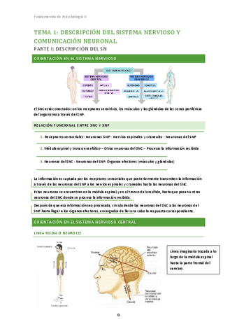 Tema 1 (parte 1). Fundamentos Psicobiología II.pdf