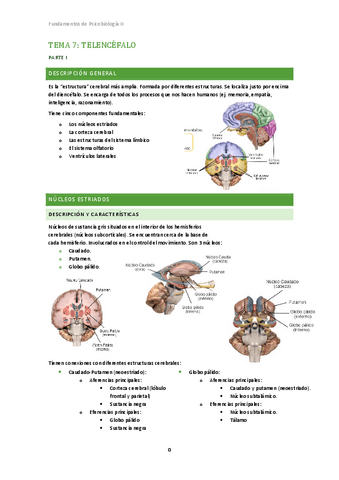 Tema 7. Fundamentos Psicobiología II.pdf