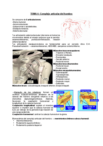 TEMA-4-Complejo-articular-del-hombro.pdf