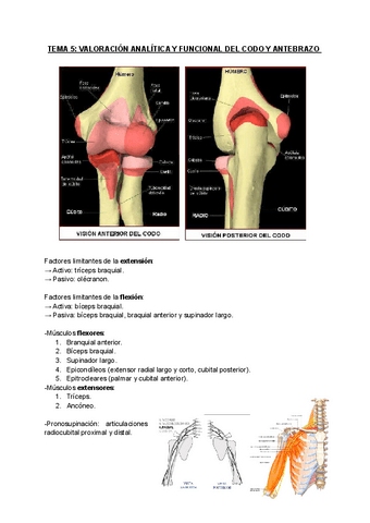 TEMA-5-VALORACION-ANALITICA-Y-FUNCIONAL-DEL-CODO-Y-ANTEBRAZO.pdf