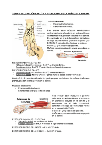 TEMA-6-VALORACION-ANALITICA-Y-FUNCIONAL-DE-LA-MUNECA-Y-LA-MANO.pdf