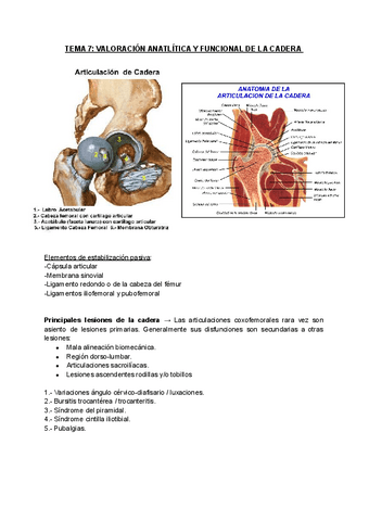 TEMA-7-VALORACION-ANATLITICA-Y-FUNCIONAL-DE-LA-CADERA.pdf