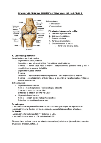 TEMA-8-VALORACION-ANALITICA-Y-FUNCIONAL-DE-LA-RODILLA.pdf