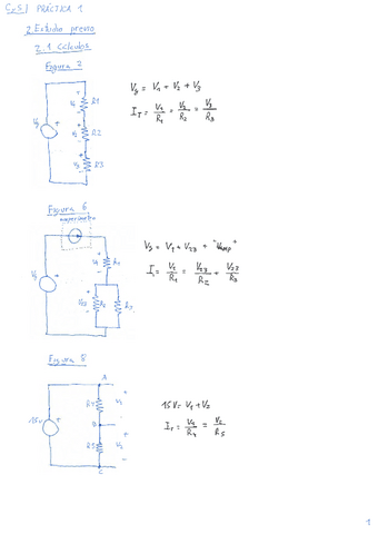 Practicas-CyS.pdf