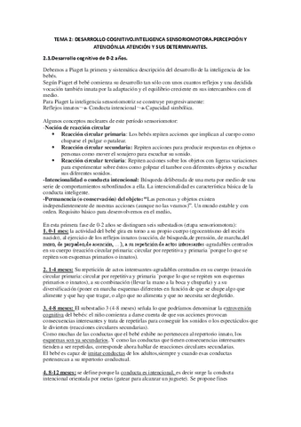 TEMA-2.pdf