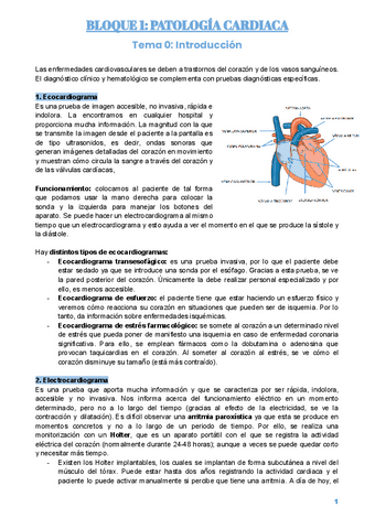 Apuntes de pruebas diagnósticas-22-23.pdf