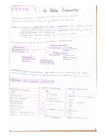 tema-4-la-célula-eucariota.pdf