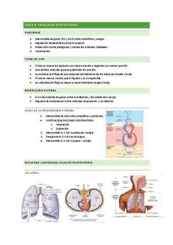 Tema-4-FISIO.pdf