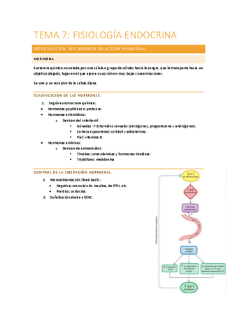 Tema-7-FISIO.pdf
