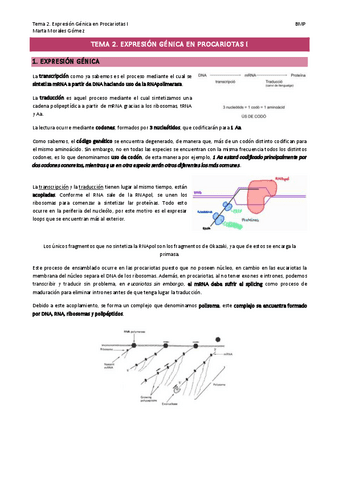 Tema-2.-Expresion-Genica-en-Procariotas-I.pdf