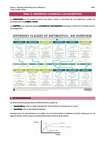 Tema-11.-Resistencia-Plasmidica-a-los-Antibioticos.pdf