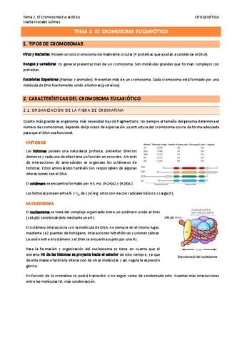 Tema-2.-El-Cromosoma-Eucariotico.pdf