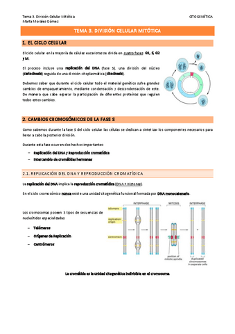 Tema-3.-Division-Celular-Mitotica.pdf