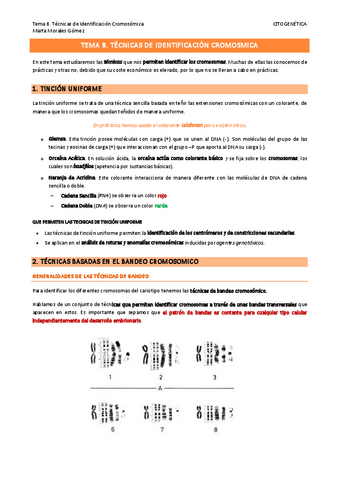 Tema-8.-Tecnicas-de-Identificcion-Cromosomicas.pdf