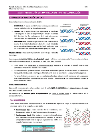 Tema-5.-Replicacion-del-Material-Genetico-y-Recombinacion.pdf