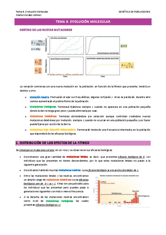 Tema-9.-Evolucion-Molecular.pdf