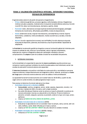 TEMA-2.pdf