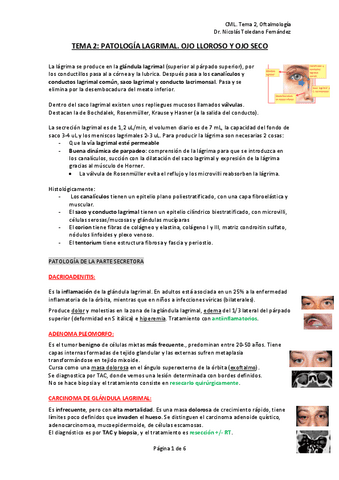 Tema-2.-oftalmologias.pdf