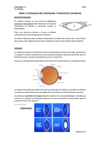 TEMA-5-oftalmo.pdf