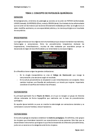 TEMA-1-PQ1.pdf