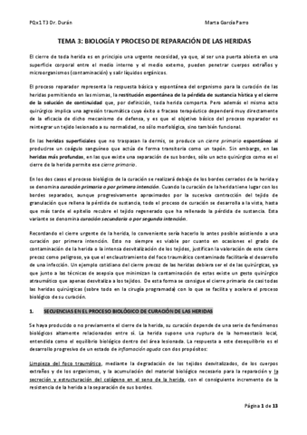 TEMA-3.pdf